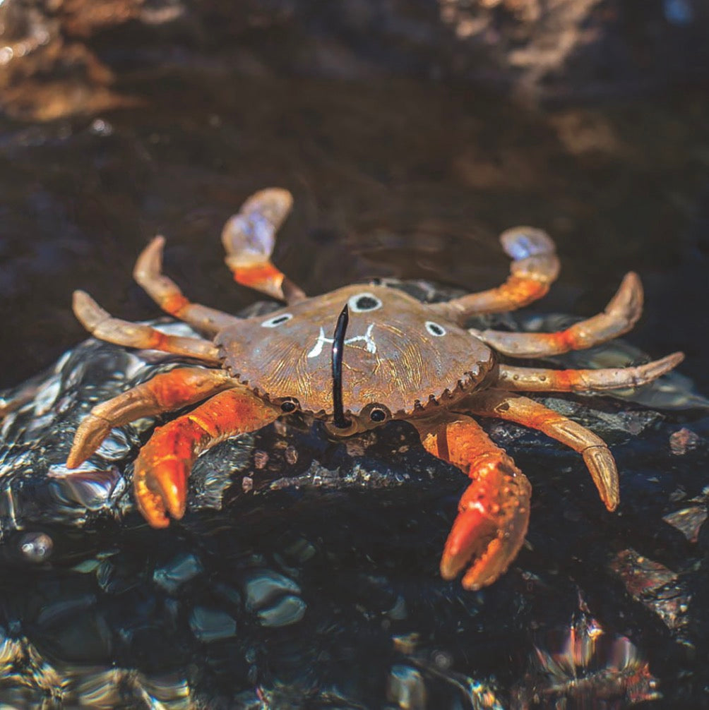 WHAT MAKES THE SMASH CRAB SO DAMN GOOD?