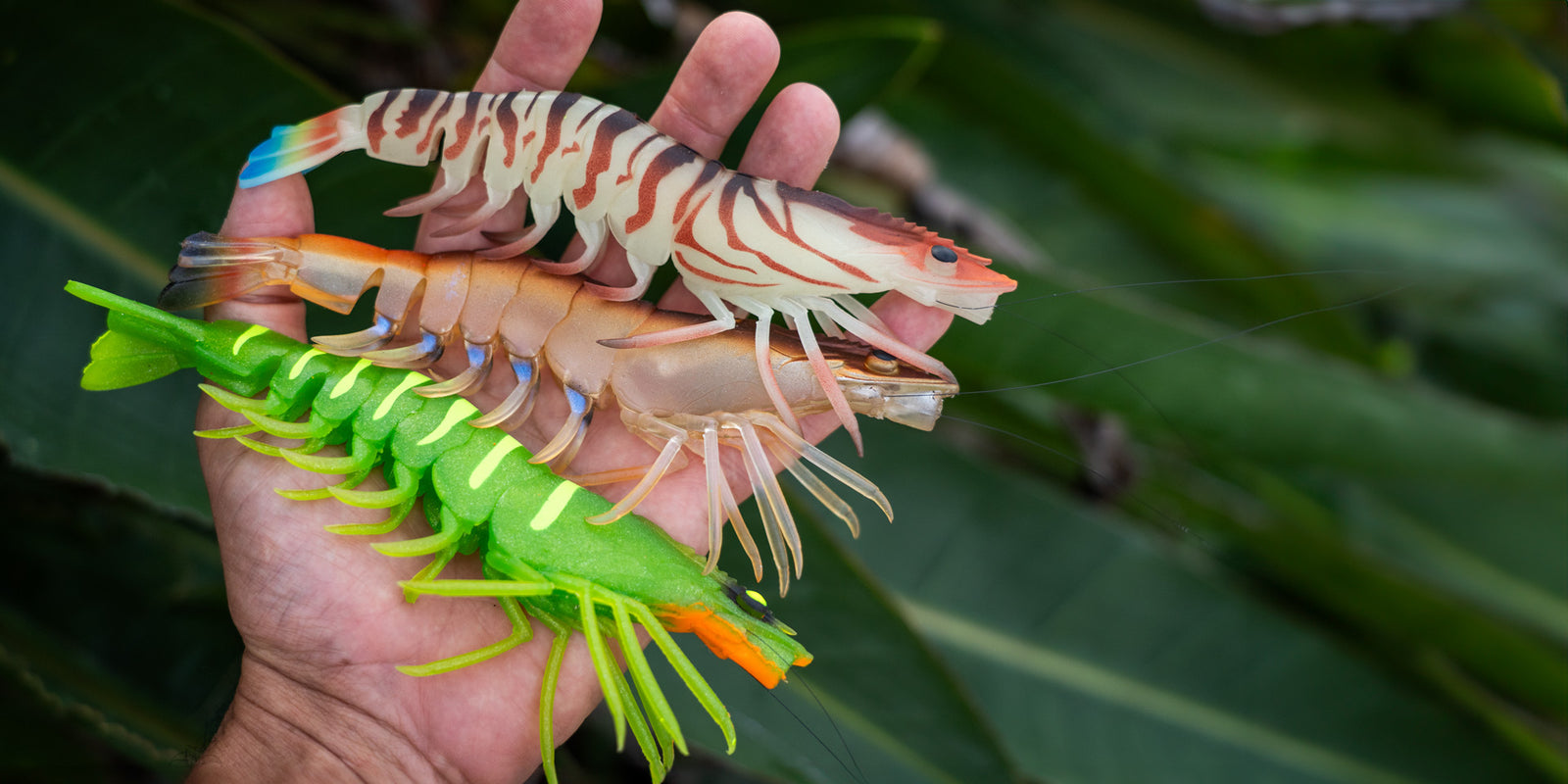KING FLICK PRAWN