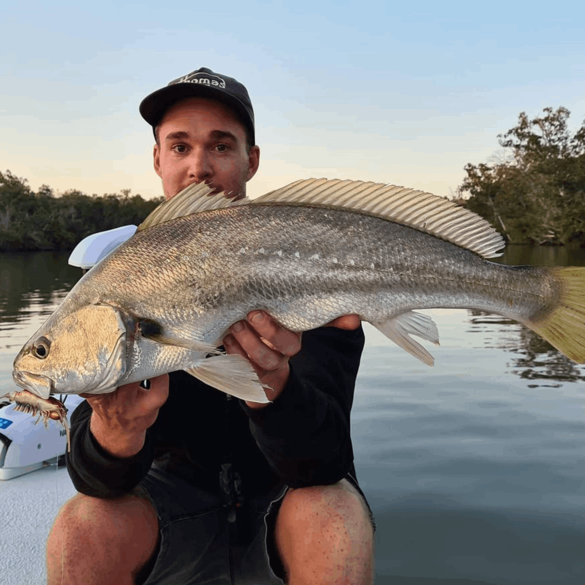 Mulloway Lures