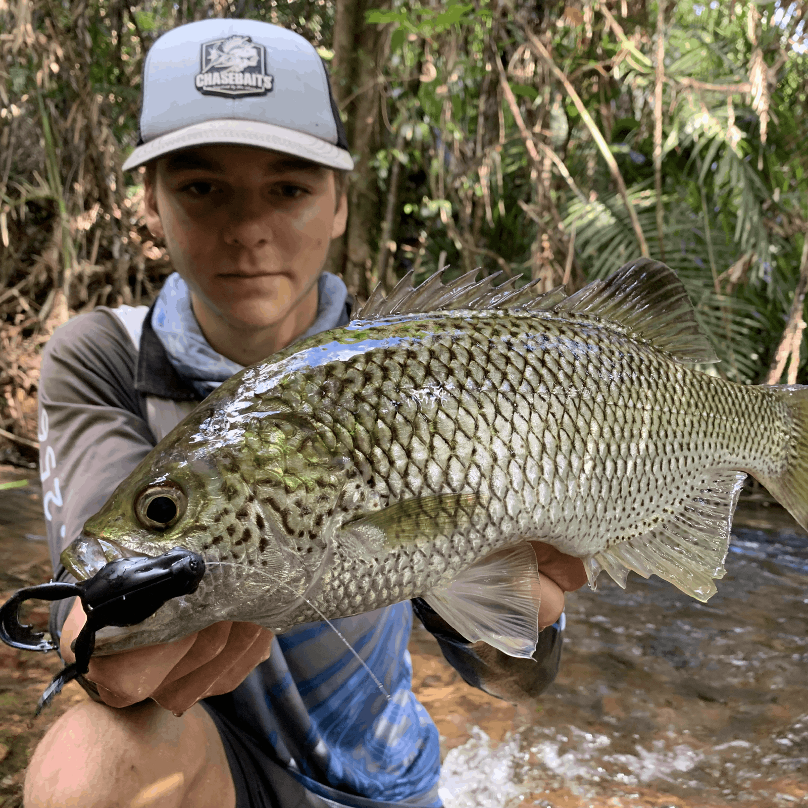 Jungle Perch Lures