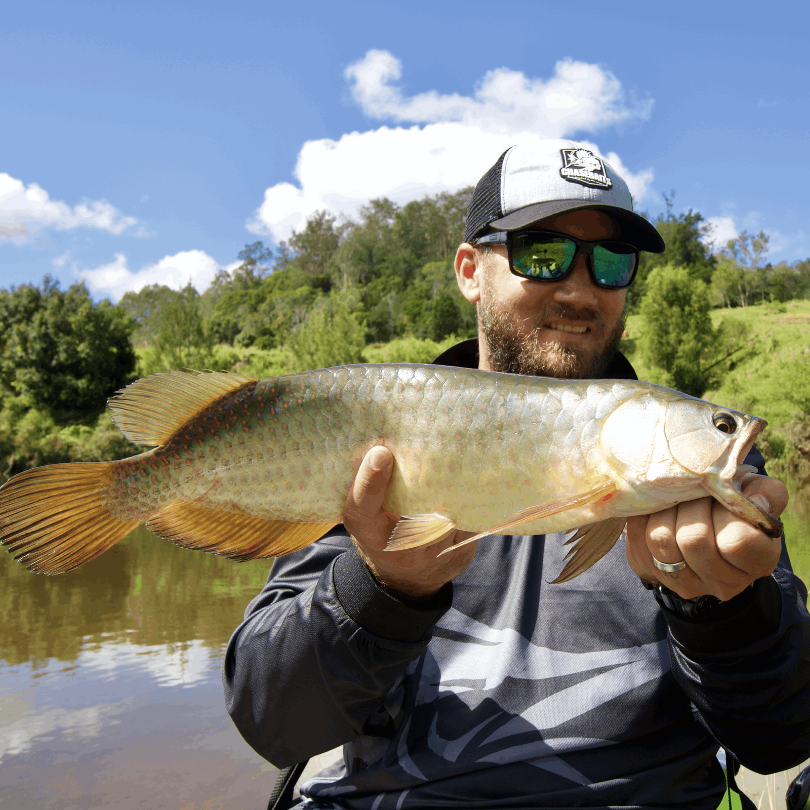 Saratoga Lures