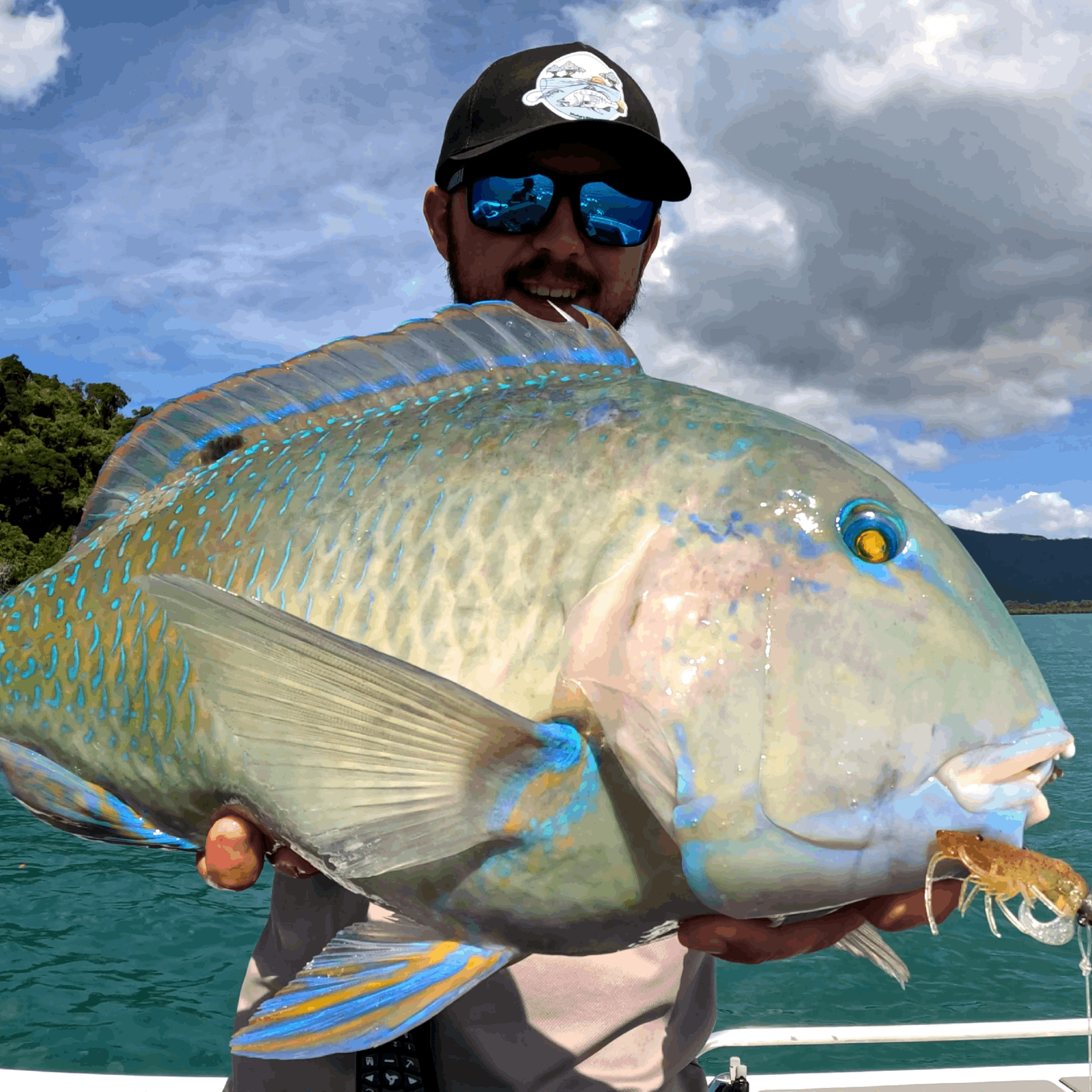 Tuskfish Lures