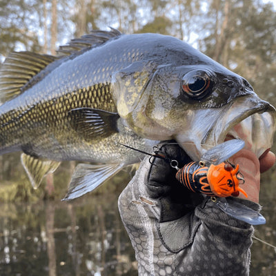 Australian Bass Lures