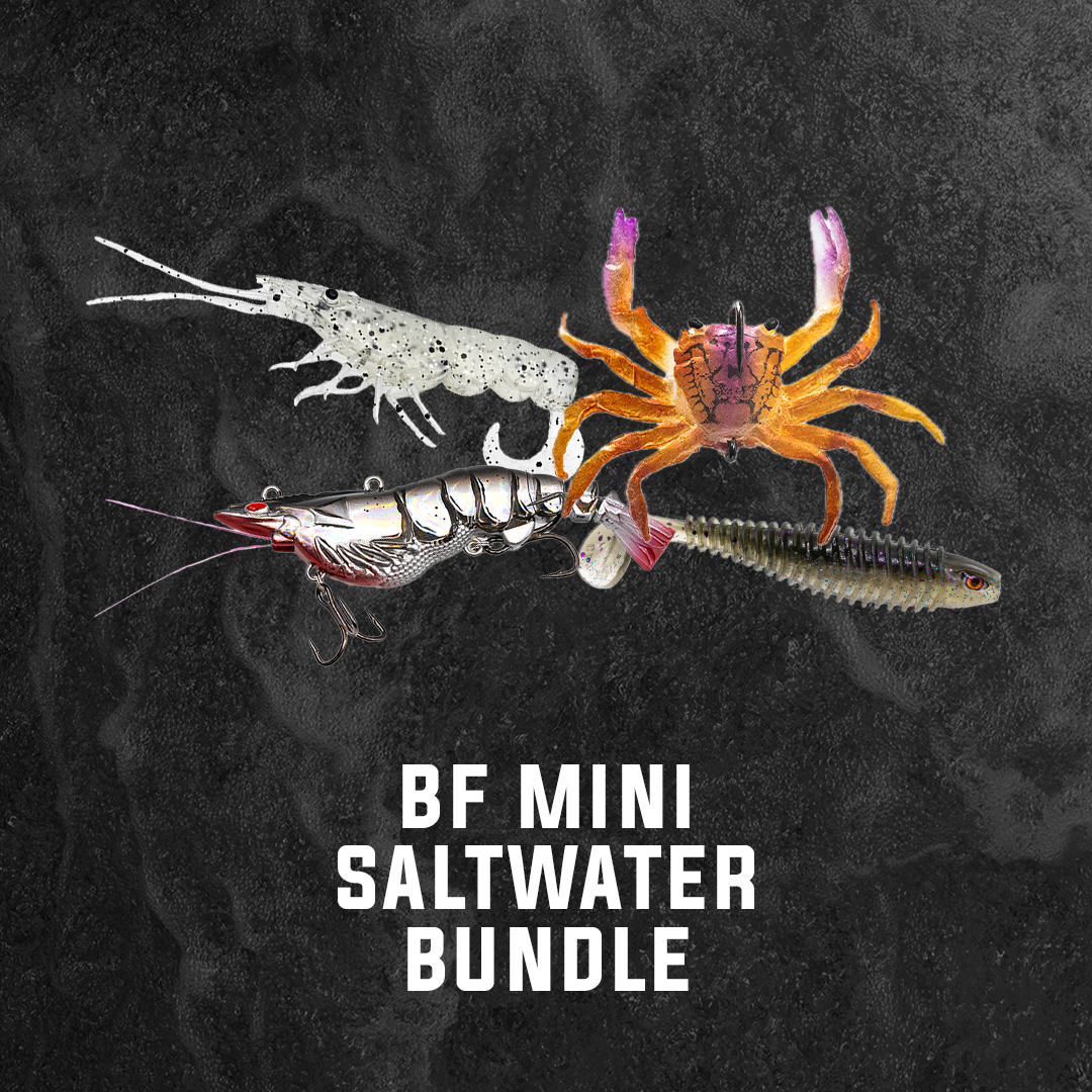 BF Mini Saltwater Bundle