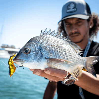 Bream Lures