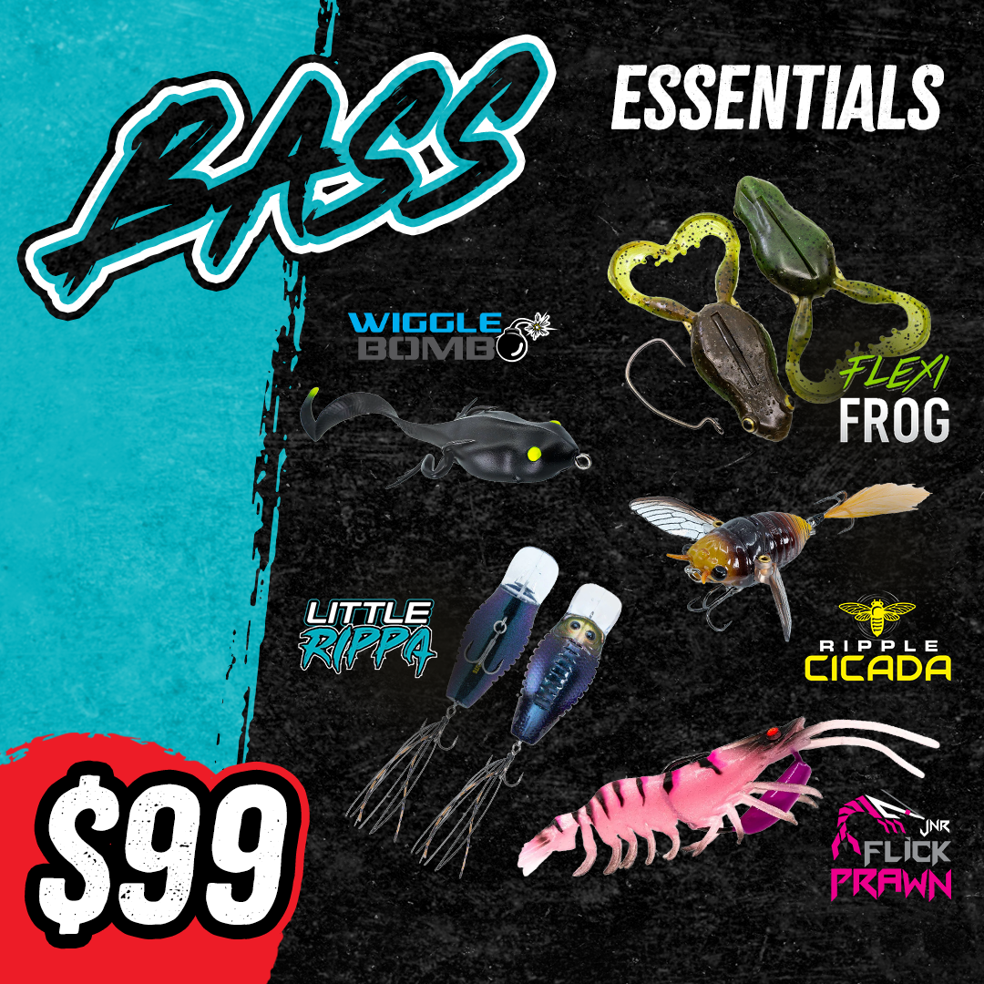Bass Essentials Kit