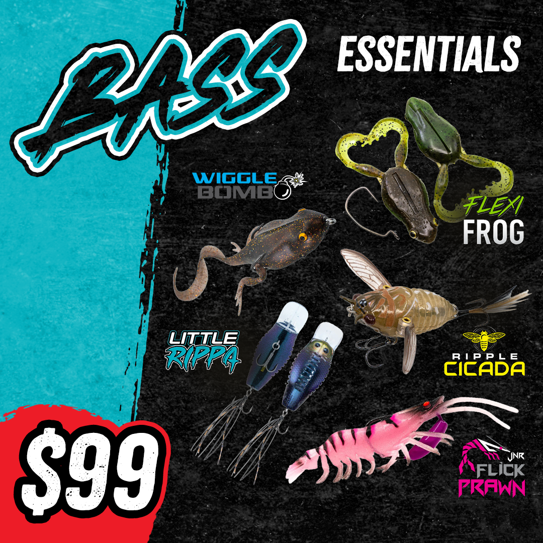 Bass Essentials Kit