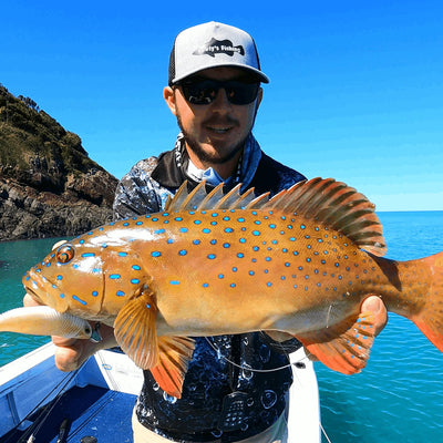 Coral Trout Lures