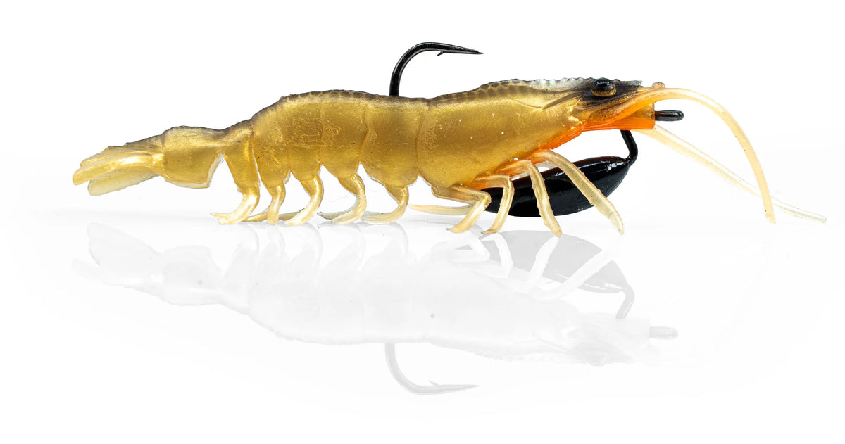 Chase The Bite Bundle