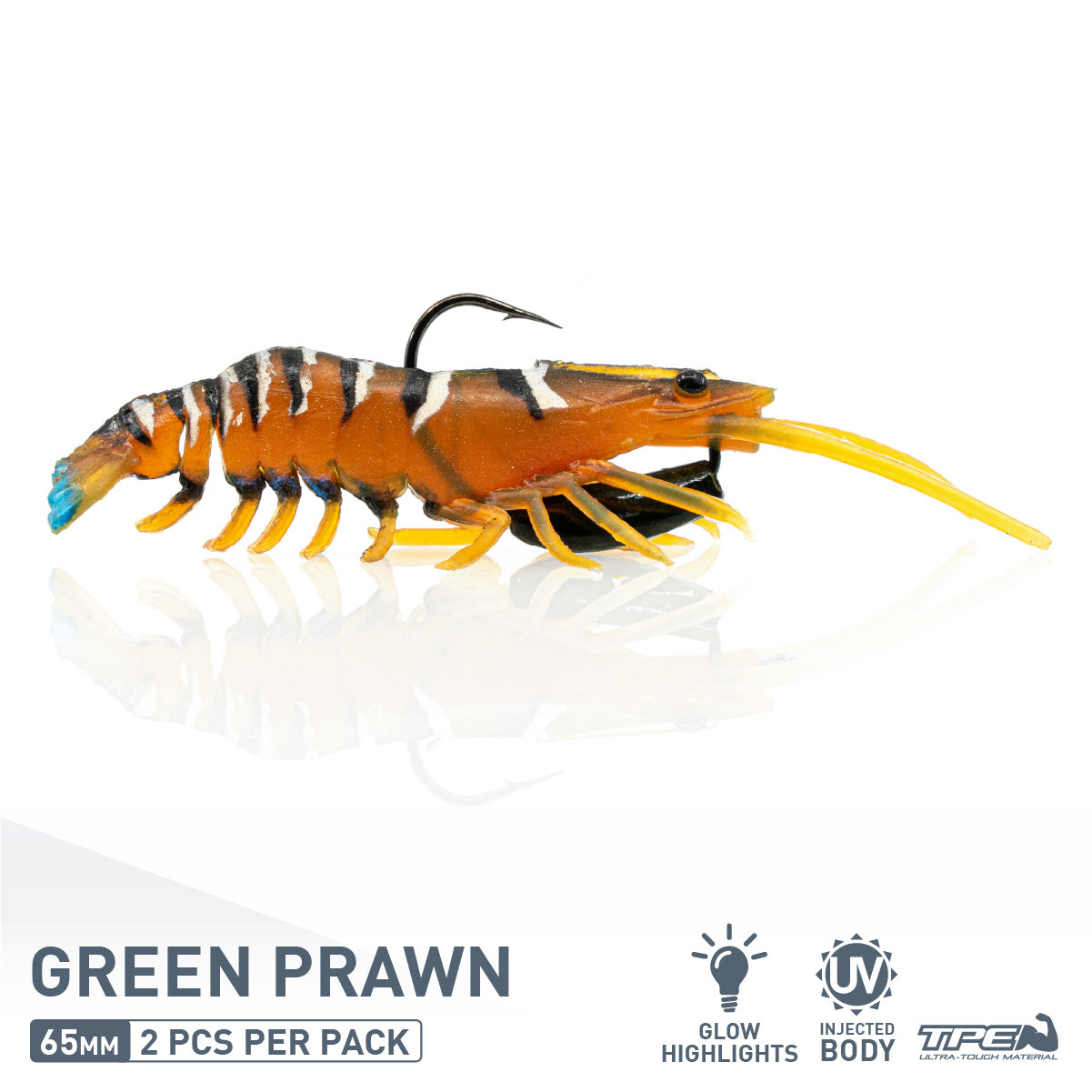 Freshwater Essentials