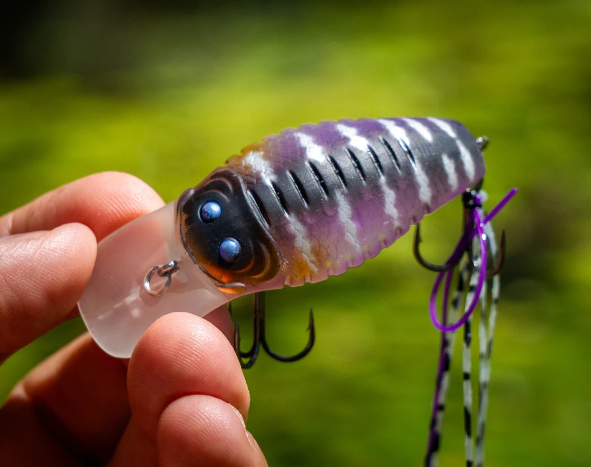 Little Rippa Crossover Hardbody Lure | Chasebaits Australia
