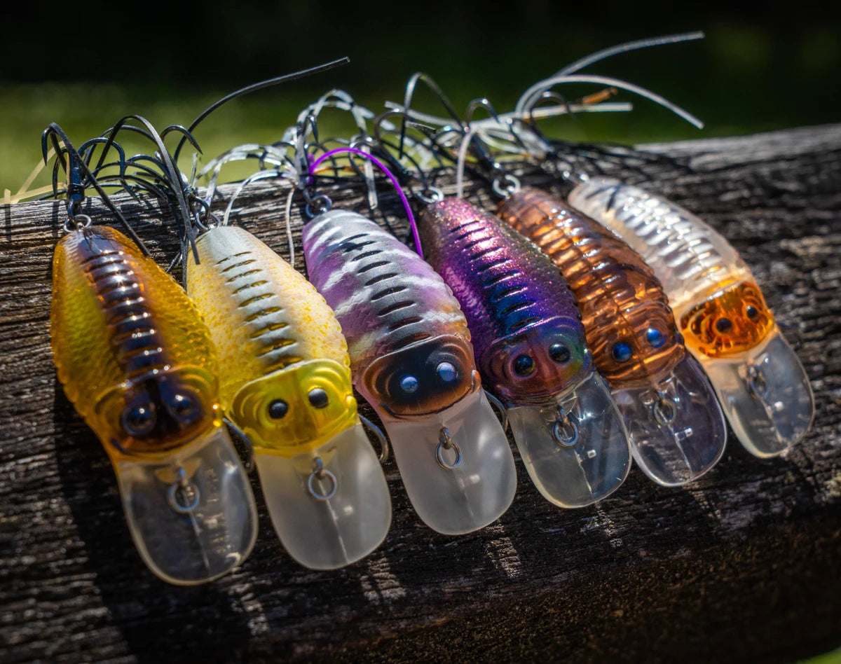 Little Rippa Crossover Hardbody Lure | Chasebaits Australia