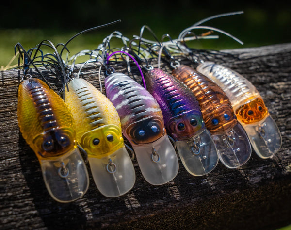 Little Ripper Lures Little Rippa Crossover Hardbody Lure | Chasebaits Australia