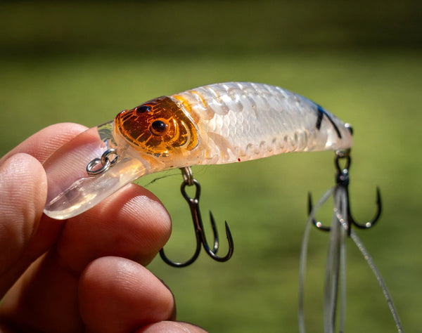 Little Rippa Crossover Hardbody Lure | Chasebaits Australia