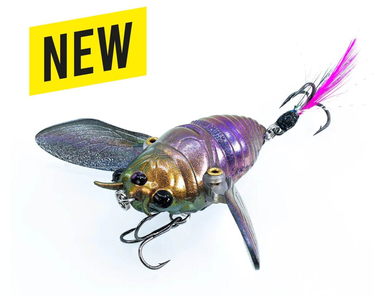 cicada bug fishing lure The Ripple Cicada