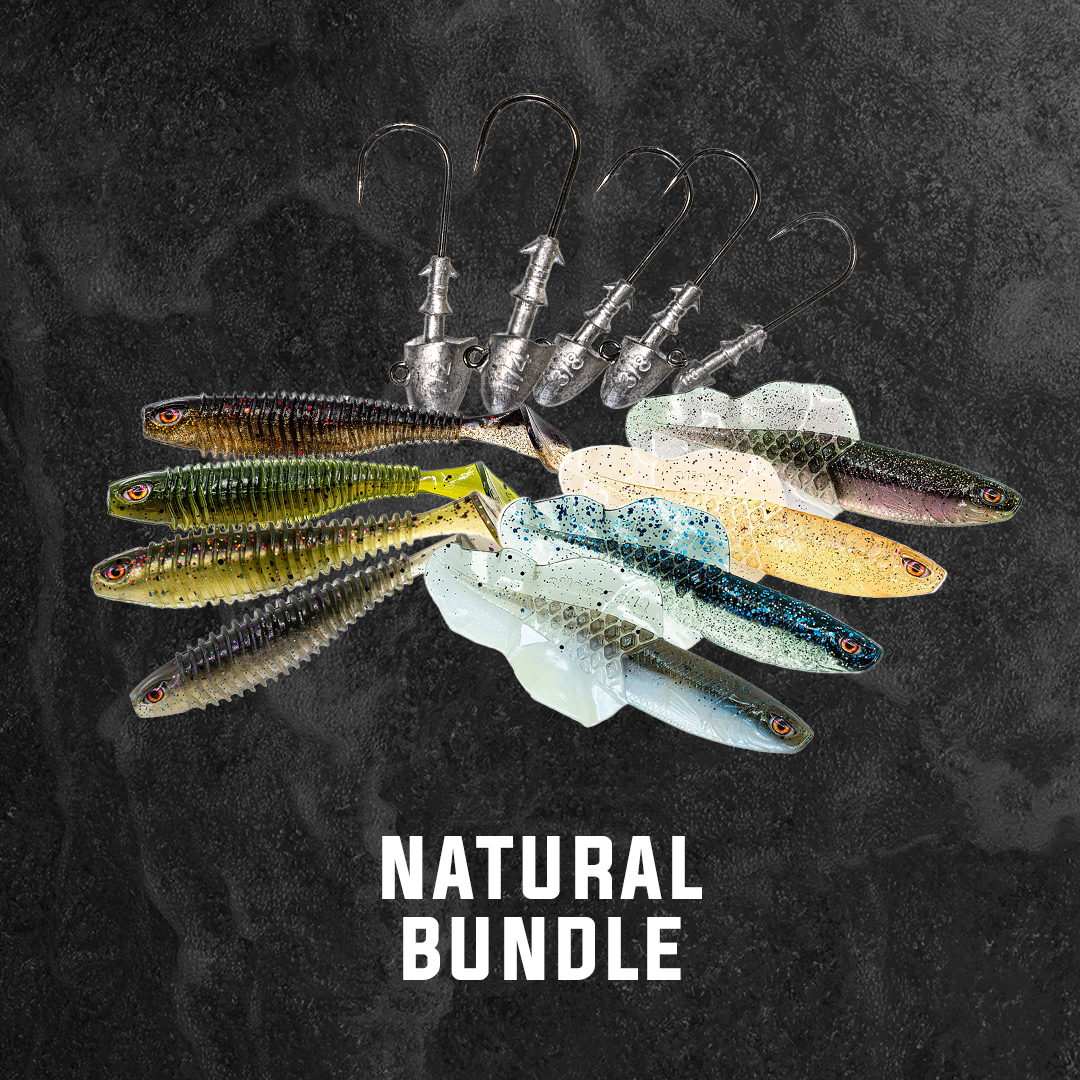 Natural Bundle