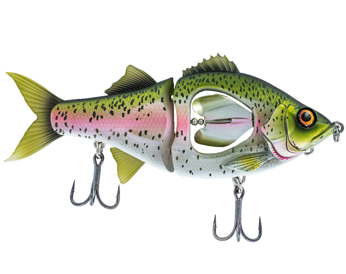 Rainbow Trout | 130mm 165mm &amp; 200mm