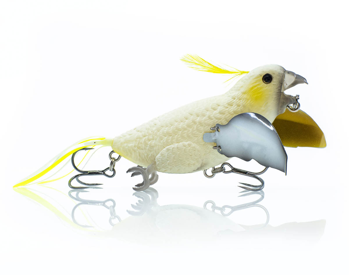 Budgie | 65mm & 90mm | 1 per pack
